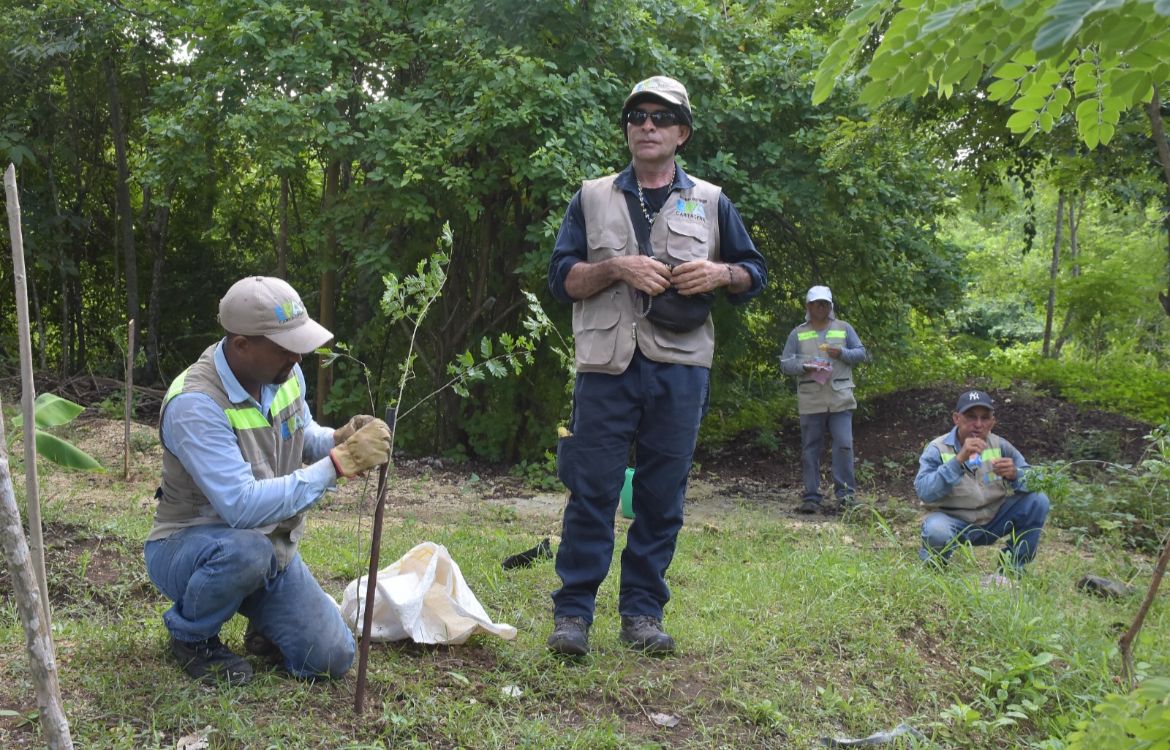 Mejora El Entorno En Tu Barrio Nete A Campa A De Siembra De Rboles